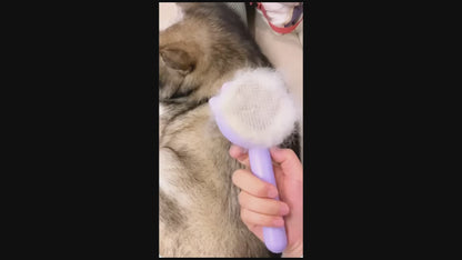 EasyCare Grooming Brush